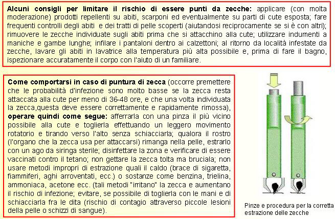 Aiuto mio figlio di 1 anno morso da zecca
